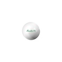 Indoor Lawn Bowls Jack